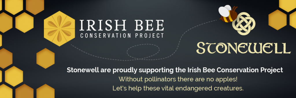 Stonewell Supporting the Irish Bee Conservation Project